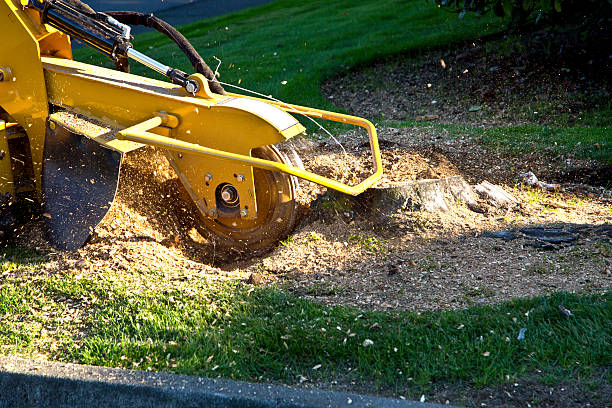 Lawn Grading and Leveling in Big Lake, TX